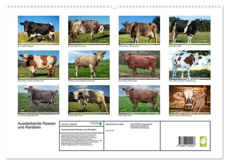 Produktbild: Aussterbende Rassen und Rarit&auml;ten (hochwertiger Premium Wandkalender 2026 DIN A2 quer), Kunstdruck in Hochglanz