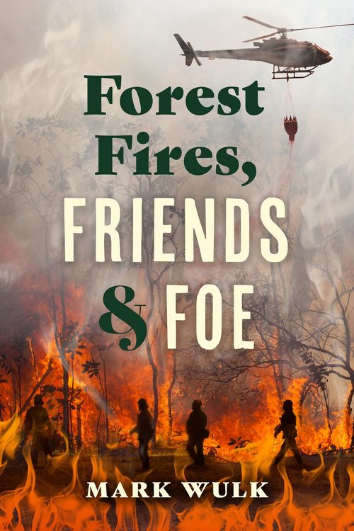Produktbild: Forest Fires, Friends and Foe