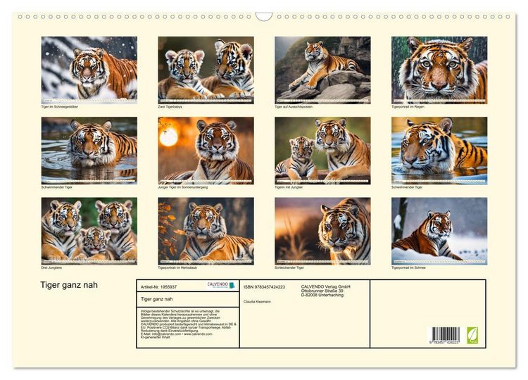 Produktbild: Tiger ganz nah (Wandkalender 2026 DIN A2 quer), CALVENDO Monatskalender