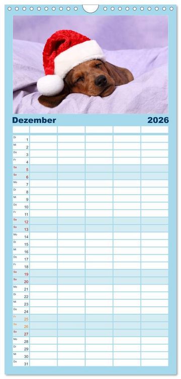 Produktbild: Familienplaner 2026 - S&uuml;&szlig;e Tr&auml;ume 2026 - schlafende Hundewelpen mit 5 Spalten (Wandkalender, 21 x 45 cm) CALVENDO