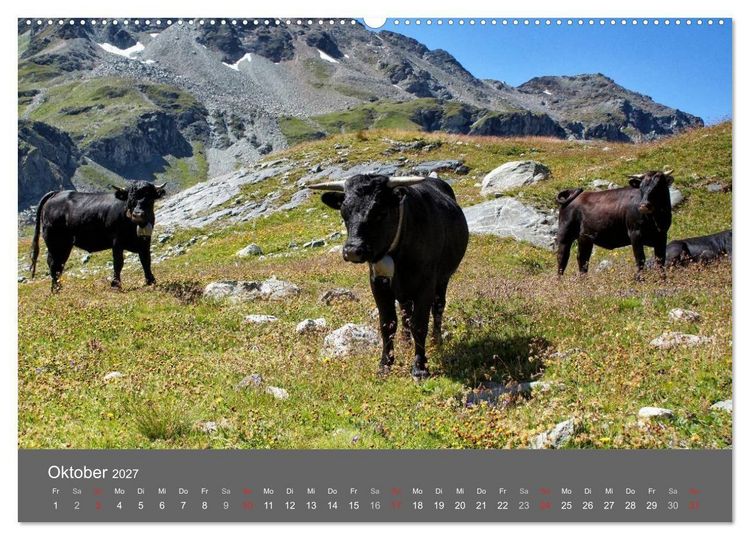 Produktbild: Wallis. Perle der Schweiz (Wandkalender 2027 DIN A2 quer), CALVENDO Monatskalender