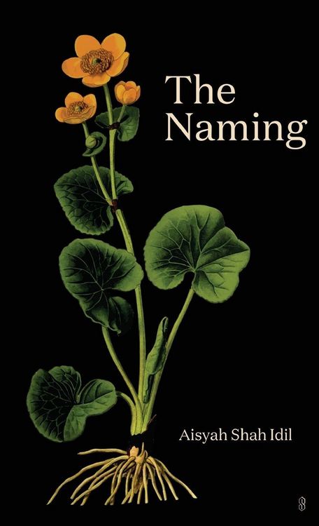 Produktbild: The Naming