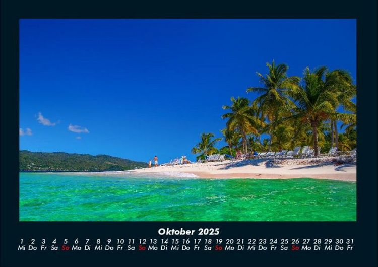 Produktbild: Palmentraum 2025 Fotokalender DIN A4