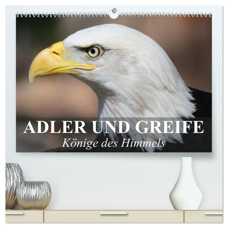 Produktbild: Adler und Greife - K&ouml;nige des Himmels (hochwertiger Premium Wandkalender 2026 DIN A2 quer), Kunstdruck in Hochglanz