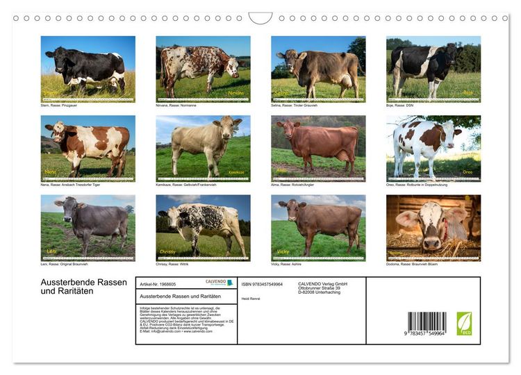 Produktbild: Aussterbende Rassen und Rarit&auml;ten (Wandkalender 2026 DIN A3 quer), CALVENDO Monatskalender