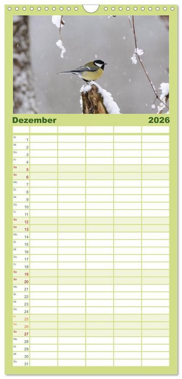 Produktbild: Familienplaner 2026 - V&ouml;gel mit 5 Spalten (Wandkalender, 21 x 45 cm) CALVENDO