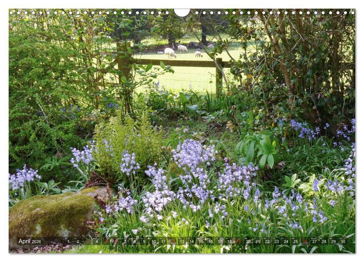 Produktbild: Malerische Cotswolds (Wandkalender 2026 DIN A3 quer), CALVENDO Monatskalender