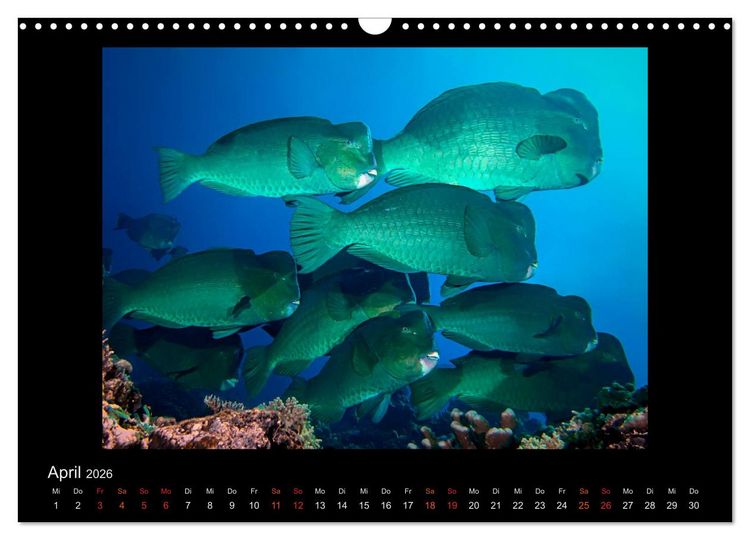 Produktbild: Ocean-Art / CH-Version (Wandkalender 2026 DIN A3 quer), CALVENDO Monatskalender