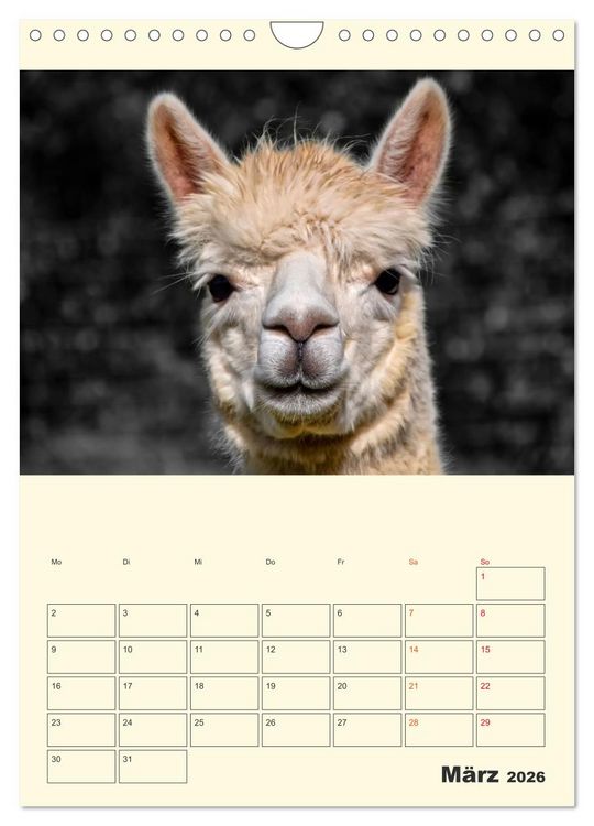 Produktbild: Putzige Alpakas (Wandkalender 2026 DIN A4 hoch), CALVENDO Monatskalender
