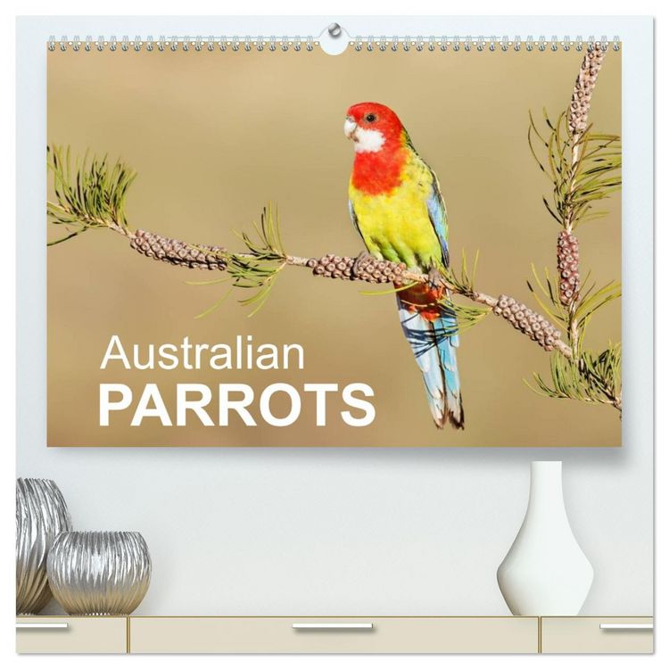 Produktbild: Australian Parrots (High Quality Premium Wall Calendar 2026 DIN A2 landscape),CALVENDO 12 Month Wall Calendar