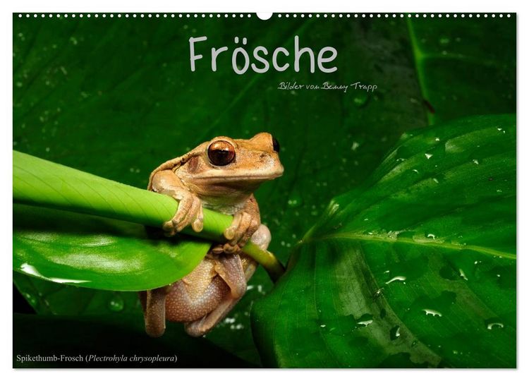 Produktbild: Fr&ouml;sche (Wandkalender 2026 DIN A2 quer), CALVENDO Monatskalender