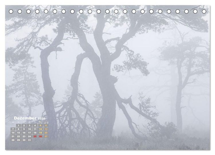 Produktbild: Naturschauspiele in Schottland (Tischkalender 2026 DIN A5 quer), CALVENDO Monatskalender