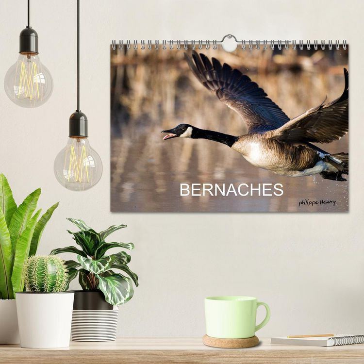 Produktbild: BERNACHES (Calendrier mural 2026 DIN A4 vertical), CALVENDO calendrier mensuel