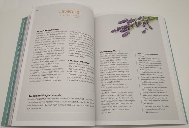 Produktbild: 10 Kr&auml;uter gegen 100 Krankheiten