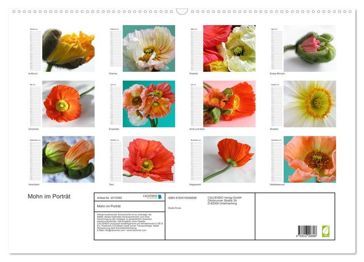 Produktbild: Mohn im Portr&auml;t (Wandkalender 2026 DIN A2 quer), CALVENDO Monatskalender