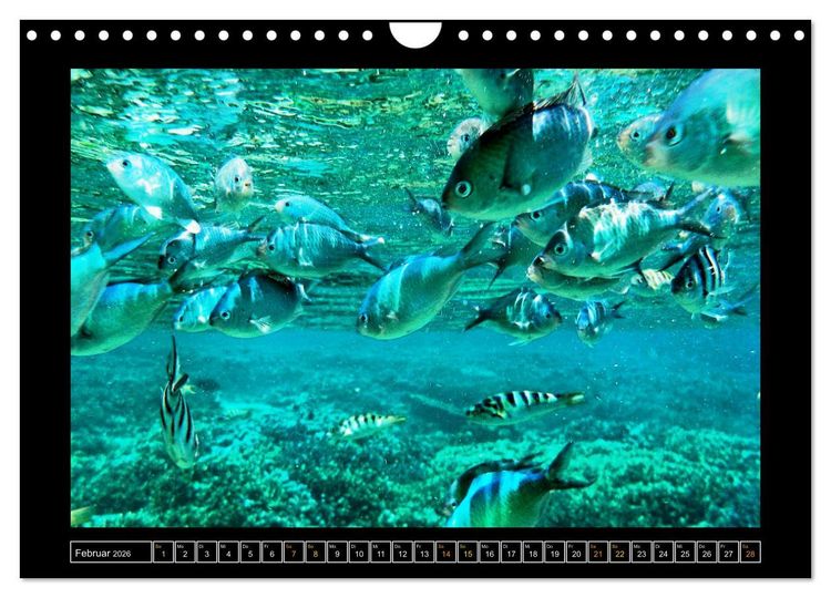 Produktbild: Bali - Details (Wandkalender 2026 DIN A4 quer), CALVENDO Monatskalender