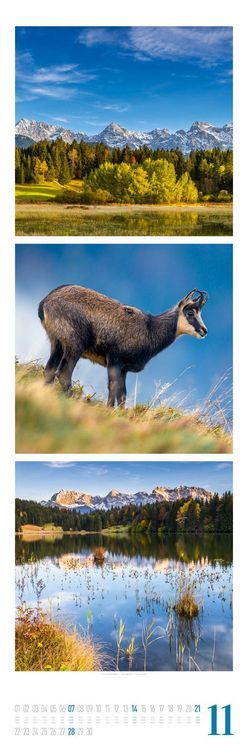 Produktbild: Nature Triplet-Kalender 2027