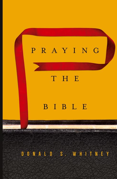 Produktbild: Praying the Bible