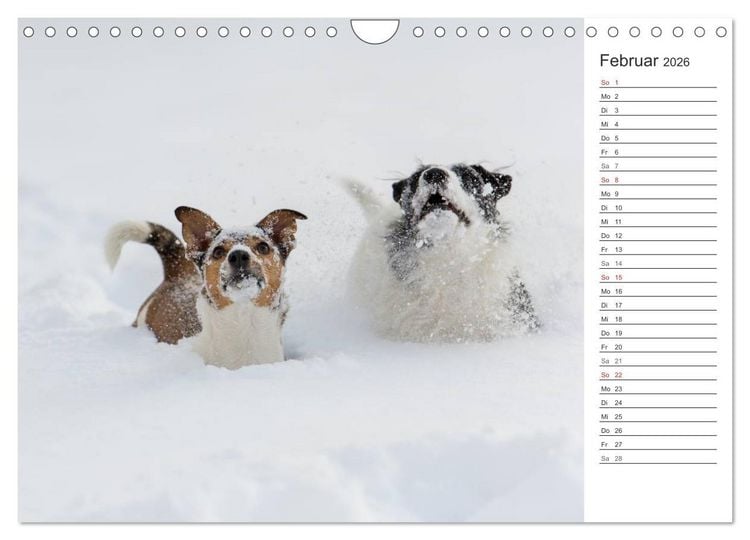 Produktbild: Emotionale Momente: Wild und Jagd. (Wandkalender 2026 DIN A4 quer), CALVENDO Monatskalender