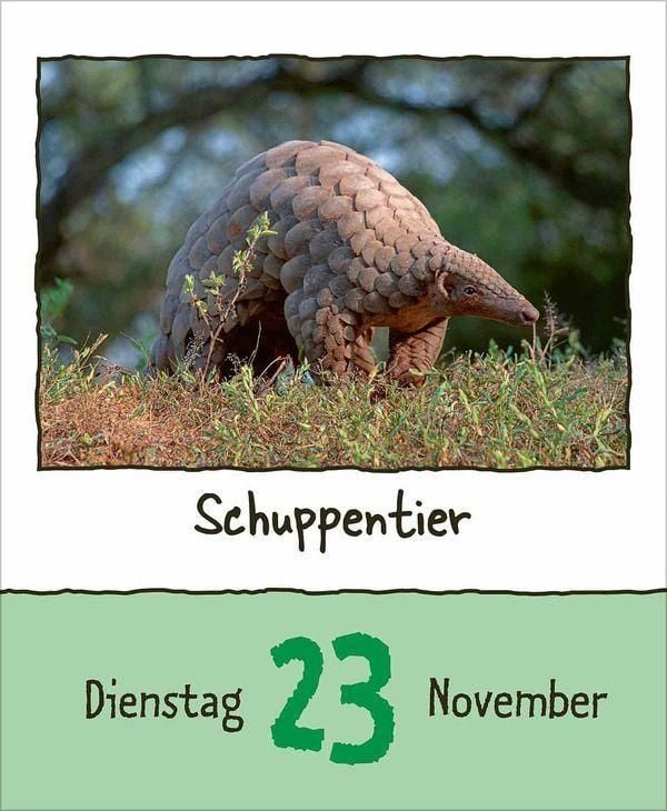 Produktbild: Tierisch unterwegs 2027