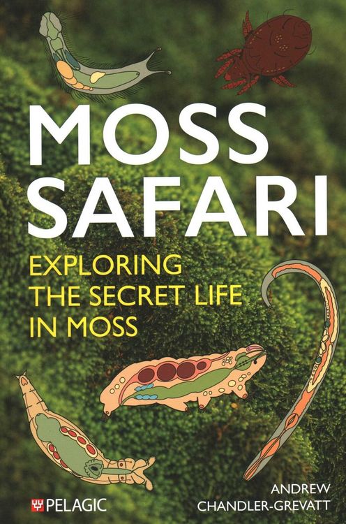 Produktbild: Moss Safari