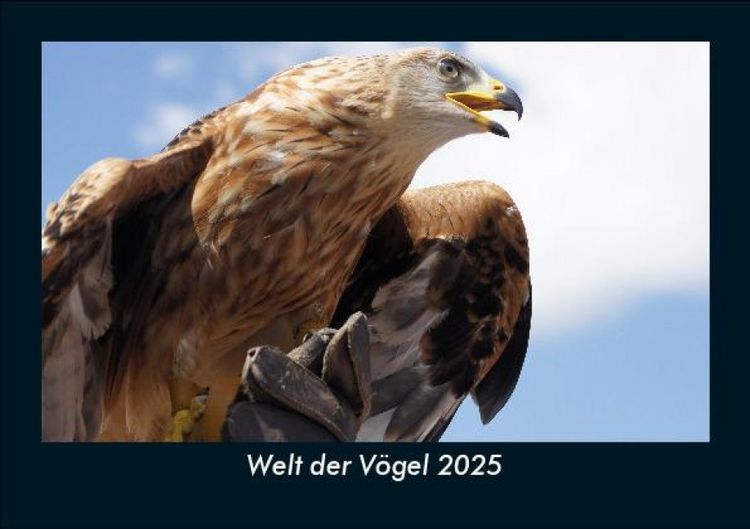 Produktbild: Welt der V&ouml;gel 2025 Fotokalender DIN A5