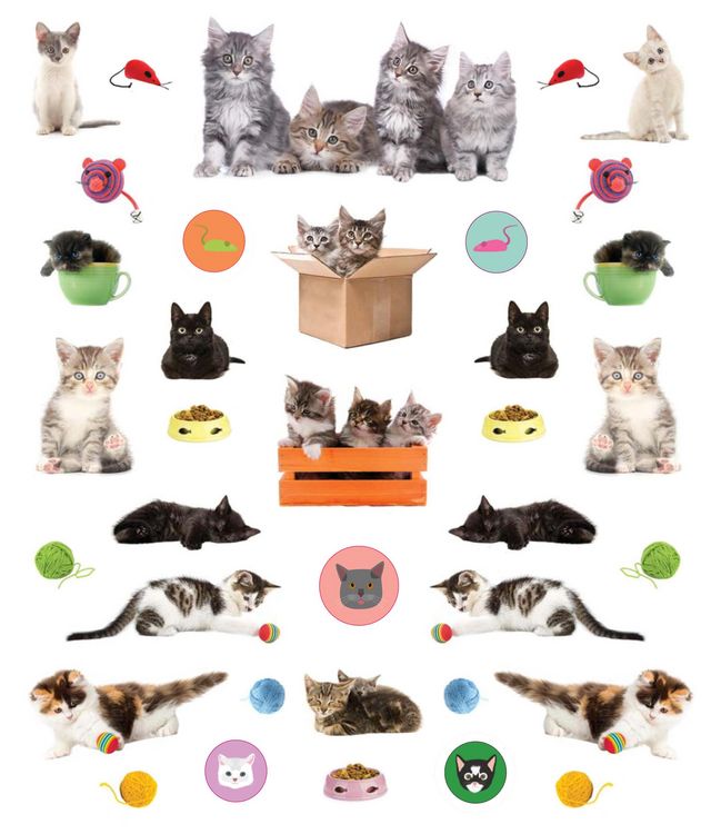 Produktbild: Eyelike Stickers: Kittens