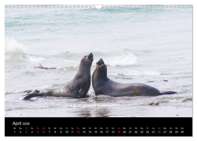 Produktbild: Monterey California (Wandkalender 2026 DIN A3 quer), CALVENDO Monatskalender