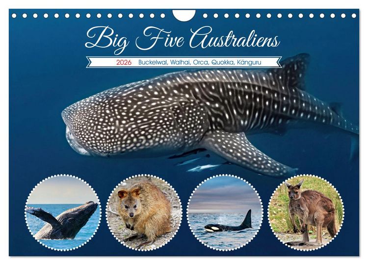 Produktbild: Big Five Australiens Buckelwal, Walhai, Orca, Quokka,K&auml;nguru (Wandkalender 2026 DIN A4 quer), CALVENDO Monatskalender