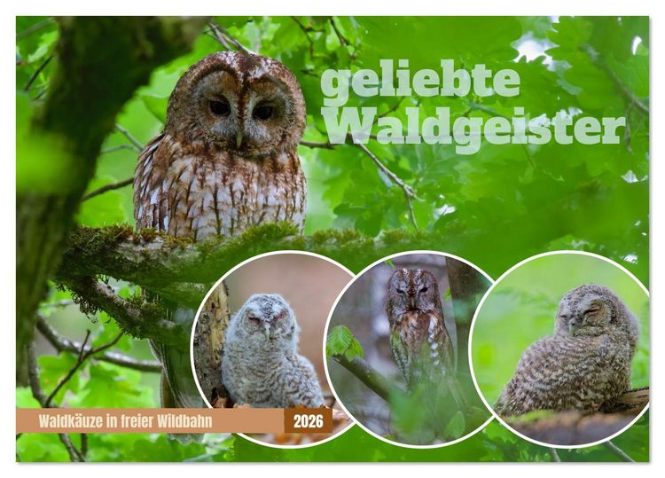 Produktbild: geliebte Waldgeister (Tischkalender 2026 DIN A5 quer), CALVENDO Monatskalender