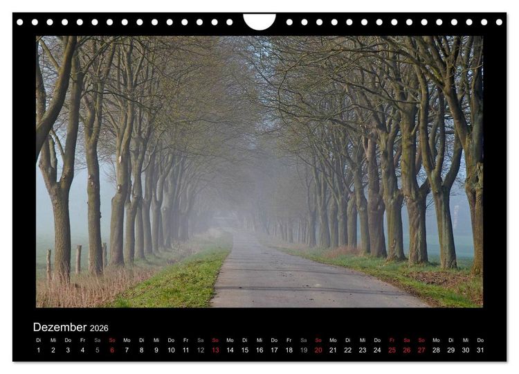 Produktbild: M&auml;rchenhafter Reinhardswald und Urwald Sababurg (Wandkalender 2026 DIN A4 quer), CALVENDO Monatskalender