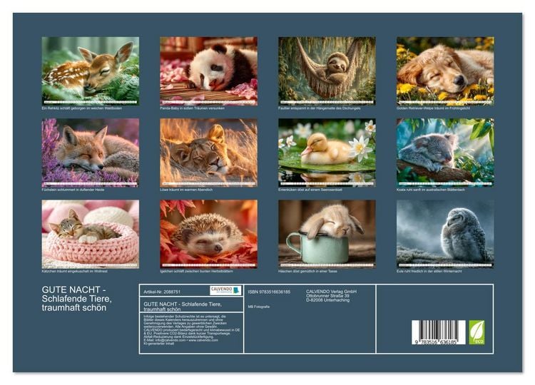 Produktbild: GUTE NACHT - Schlafende Tiere, traumhaft sch&ouml;n (Wandkalender 2026 DIN A3 quer), CALVENDO Monatskalender