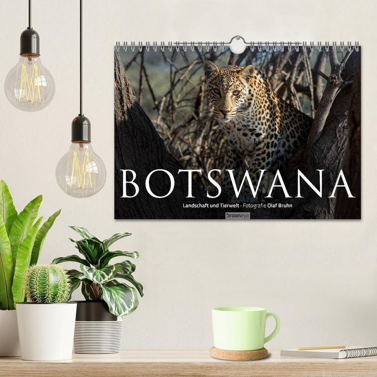 Produktbild: Botswana &ndash; Landschaft und Tierwelt (Wandkalender 2026 DIN A4 quer), CALVENDO Monatskalender