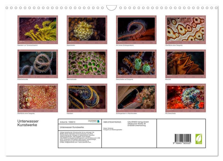 Produktbild: Unterwasser Kunstwerke (Wandkalender 2026 DIN A3 quer), CALVENDO Monatskalender