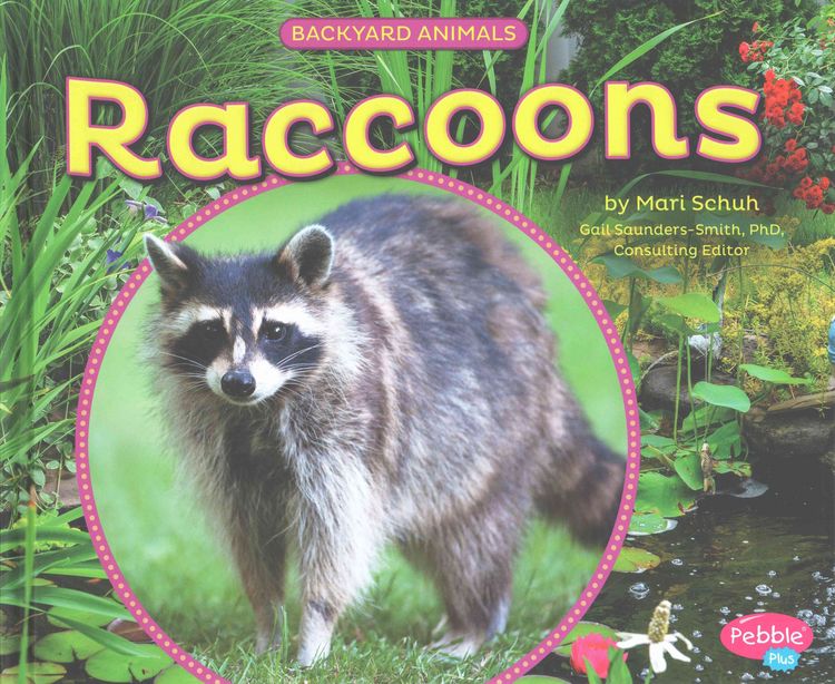 Produktbild: Raccoons