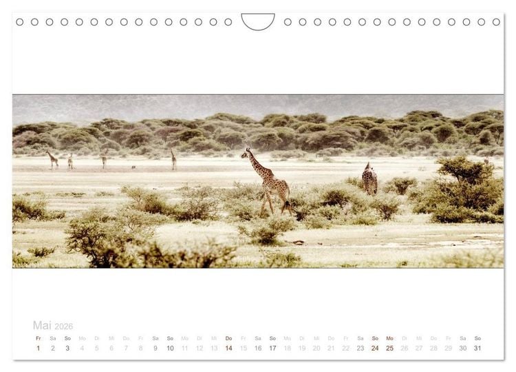 Produktbild: Serengeti Panorama (Wandkalender 2026 DIN A4 quer), CALVENDO Monatskalender