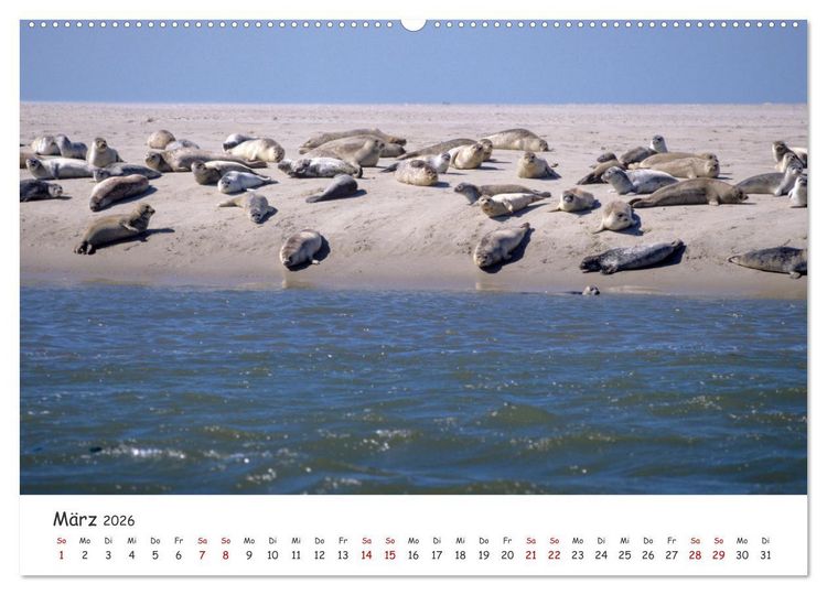Produktbild: Nordsee, Meer, Strand und Wind (Wandkalender 2026 DIN A2 quer), CALVENDO Monatskalender