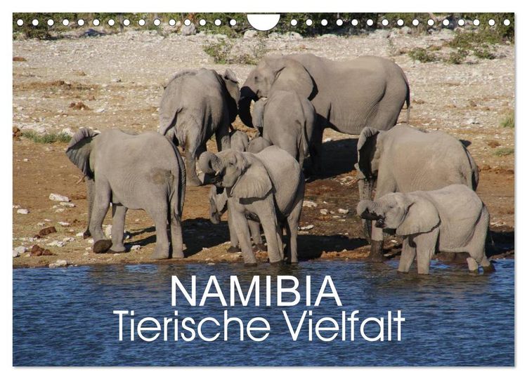 Produktbild: Namibia - Tierische Vielfalt (Wandkalender 2025 DIN A4 quer), CALVENDO Monatskalender