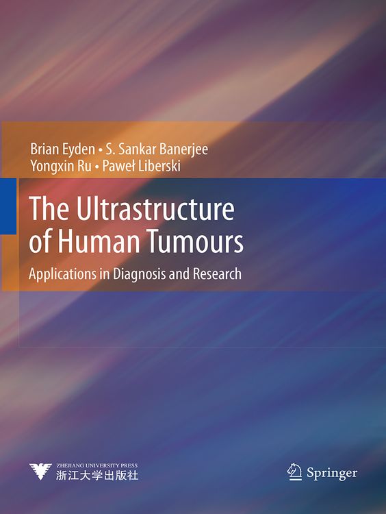 Produktbild: The Ultrastructure of Human Tumours