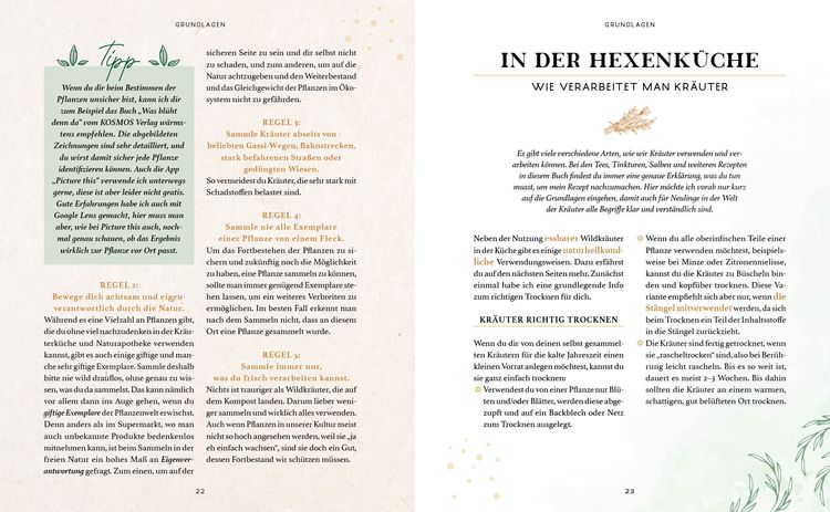 Produktbild: Zaubernuss und Waldmagie – Naturmomente für deine Seele
