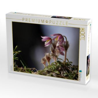 Produktbild: CALVENDO Puzzle Rare Sch&ouml;nheit | 1000 Teile Lege-Gr&ouml;&szlig;e 64x48cm Foto-Puzzle f&uuml;r gl&uuml;ckliche Stunden