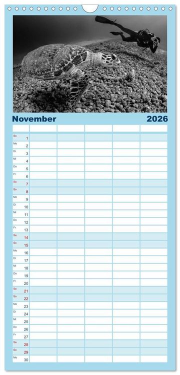 Produktbild: Familienplaner 2026 - Schildkr&ouml;ten des Ozeans mit 5 Spalten (Wandkalender, 21 x 45 cm) CALVENDO