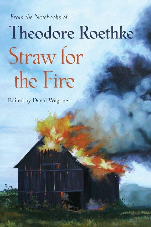 Produktbild: Straw for the Fire