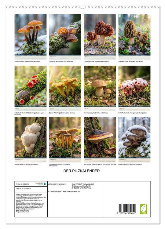 Produktbild: DER PILZKALENDER (hochwertiger Premium Wandkalender 2027 DIN A2 hoch), Kunstdruck in Hochglanz