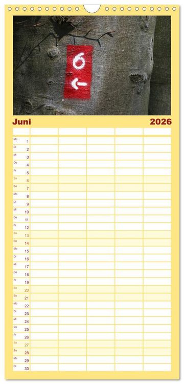 Produktbild: Familienplaner 2026 - Alles in Rot mit 5 Spalten (Wandkalender, 21 x 45 cm) CALVENDO
