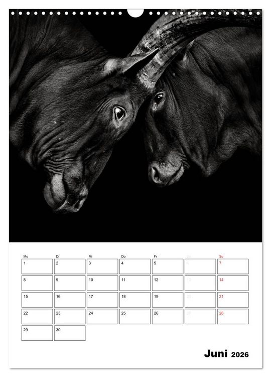 Produktbild: Charakterk&ouml;pfe aus der Welt der Tiere (Wandkalender 2026 DIN A3 hoch), CALVENDO Monatskalender