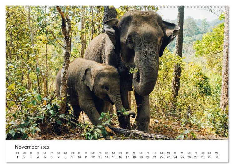Produktbild: Thailand - Das Land des L&auml;chelns. (Wandkalender 2026 DIN A2 quer), CALVENDO Monatskalender
