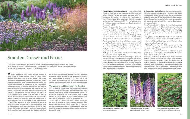 Produktbild: Das gro&szlig;e Praxishandbuch Garten