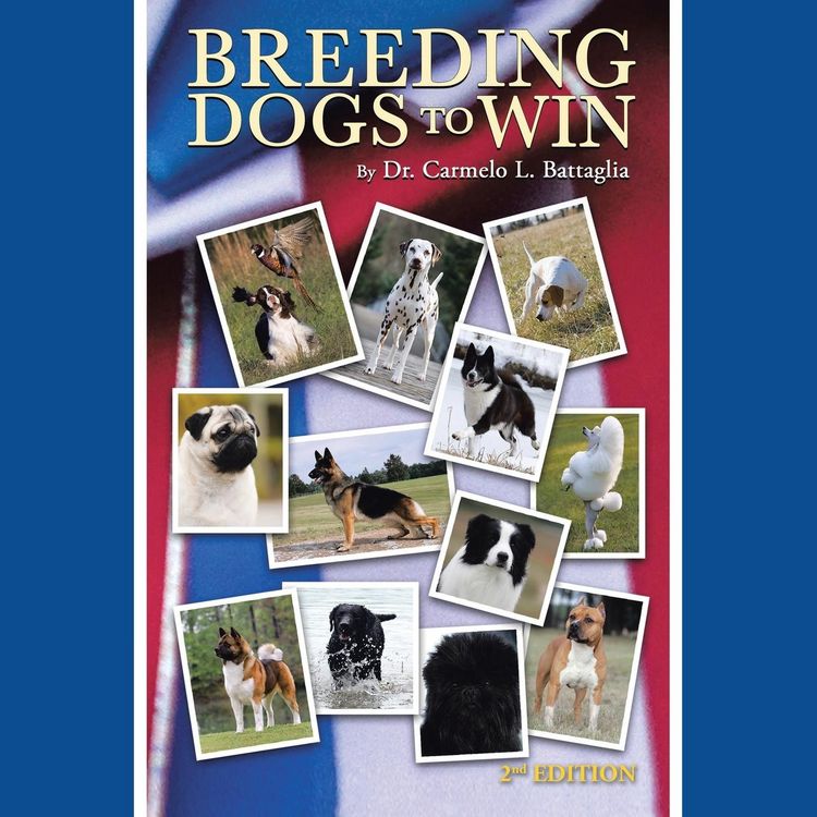 Produktbild: Breeding Dogs To Win