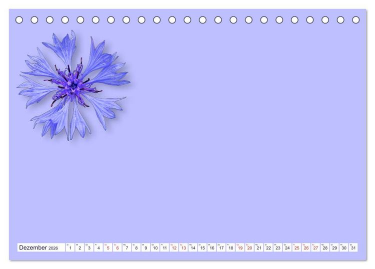 Produktbild: DIY POESIE - BASTELKALENDER (Tischkalender 2026 DIN A5 quer), CALVENDO Monatskalender